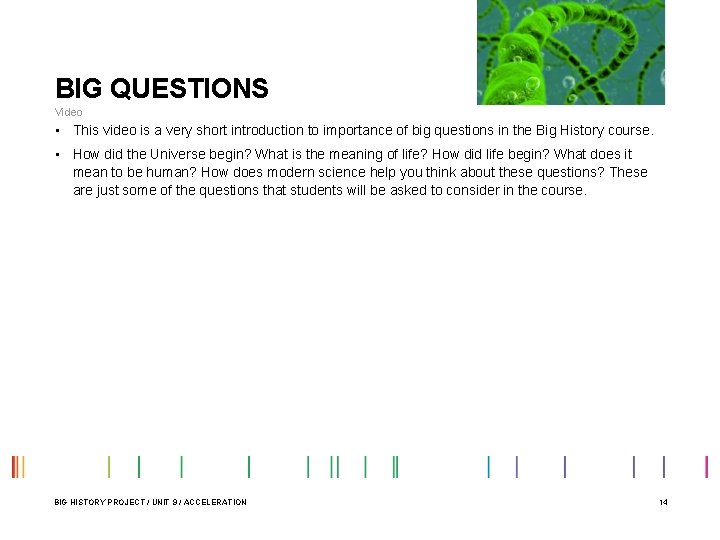 BIG QUESTIONS Video • This video is a very short introduction to importance of