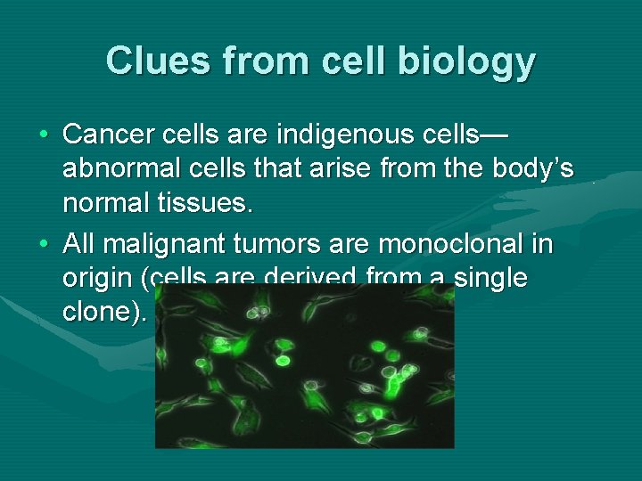 Clues from cell biology • Cancer cells are indigenous cells— abnormal cells that arise