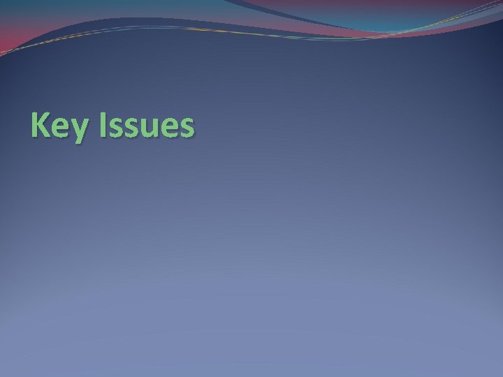 Key Issues Key Issues