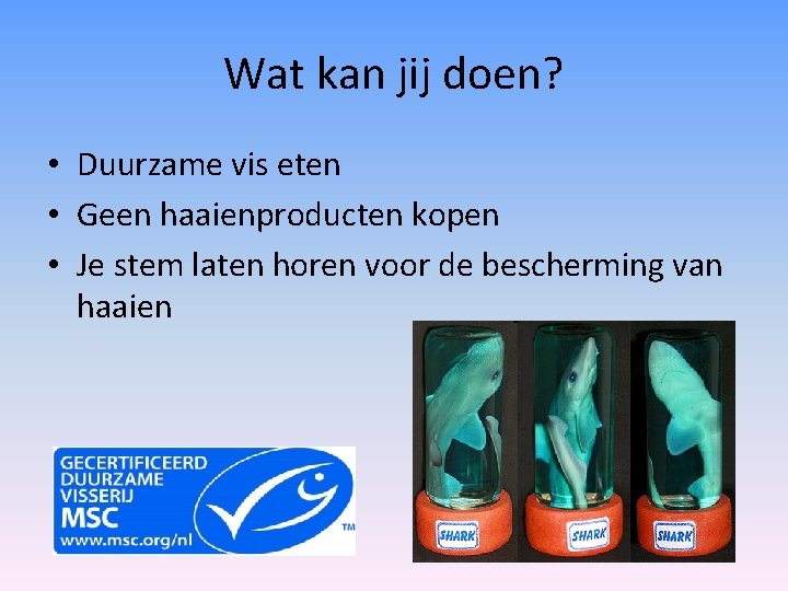 Wat kan jij doen? • Duurzame vis eten • Geen haaienproducten kopen • Je