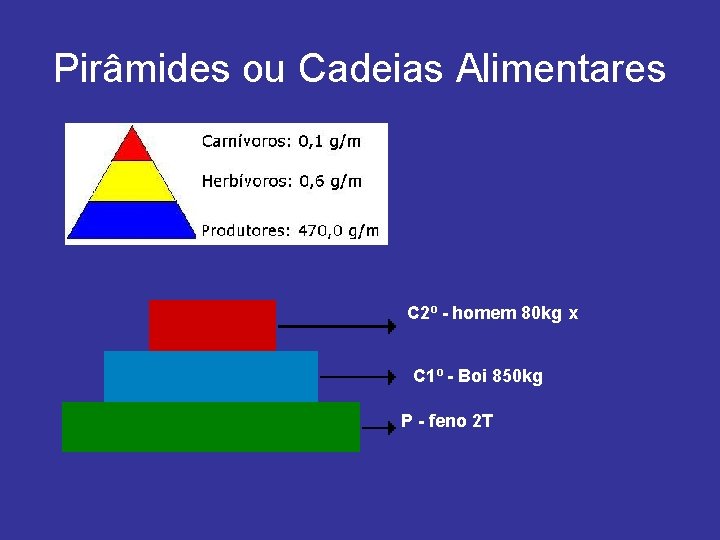 Pirâmides ou Cadeias Alimentares C 2º - homem 80 kg x C 1º -