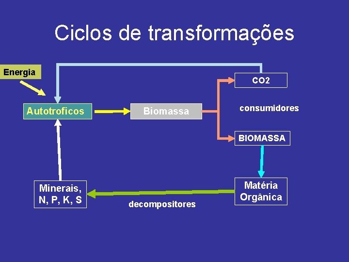 Ciclos de transformações Energia CO 2 Autotroficos Biomassa consumidores BIOMASSA Minerais, N, P, K,