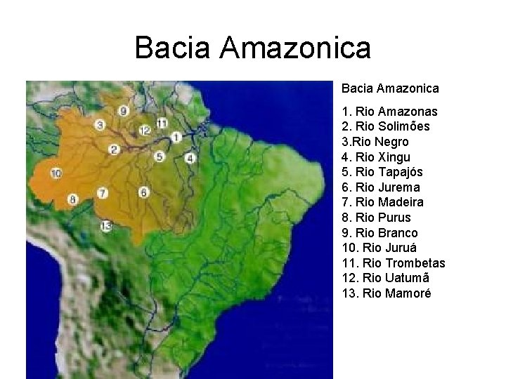 Bacia Amazonica 1. Rio Amazonas 2. Rio Solimões 3. Rio Negro 4. Rio Xingu