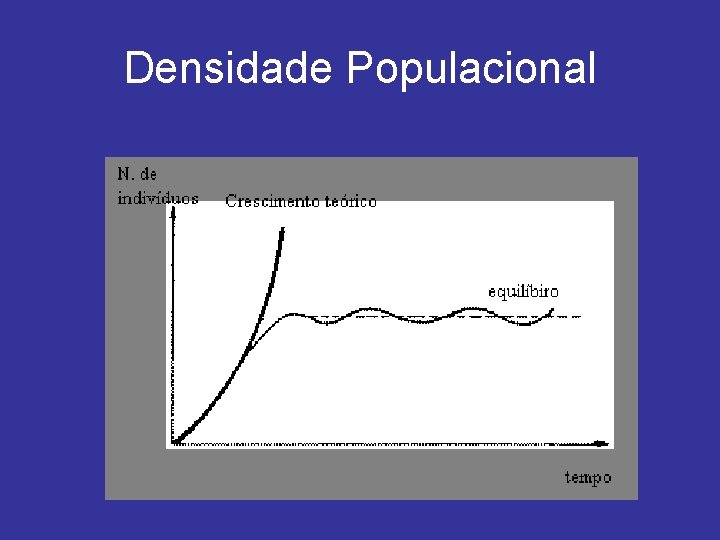 Densidade Populacional 