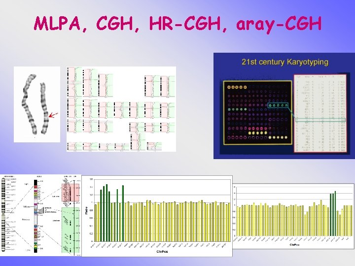 MLPA, CGH, HR-CGH, aray-CGH 