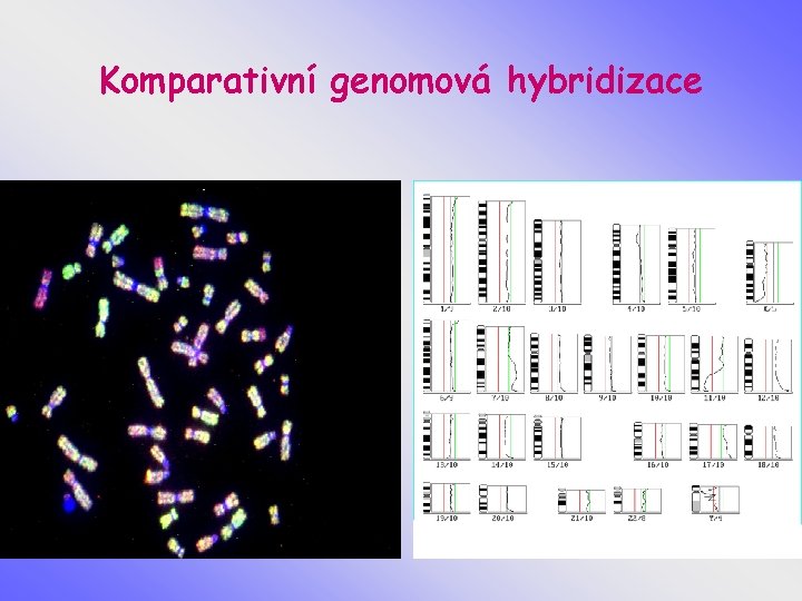 Komparativní genomová hybridizace 