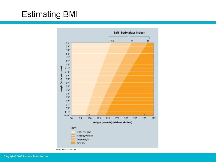 Estimating BMI Copyright © 2009 Pearson Education, Inc. 