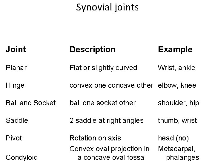 Synovial joints Joint Description Example Planar Flat or slightly curved Wrist, ankle Hinge convex