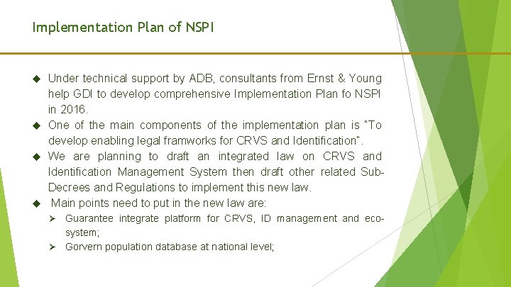 Implementation Plan of NSPI Under technical support by ADB, consultants from Ernst & Young