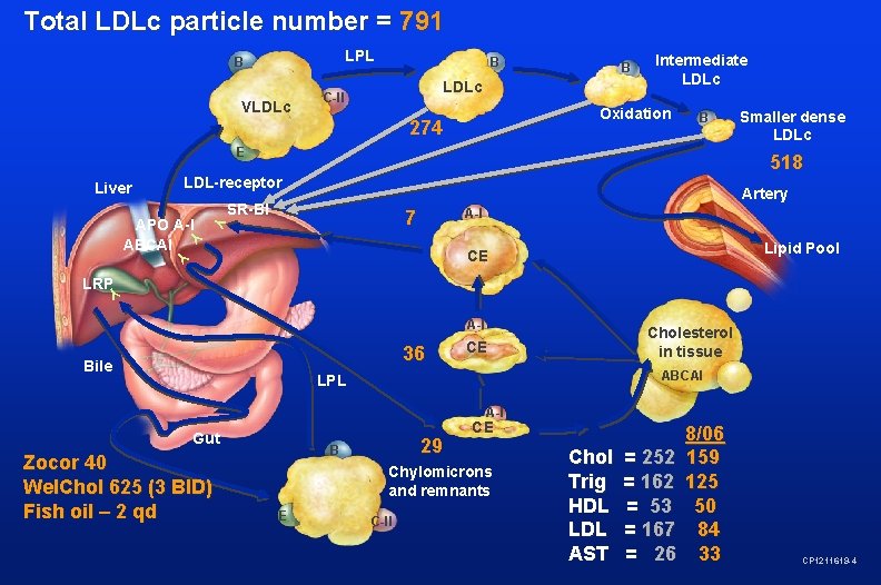 Total LDLc particle number = 791 LPL B VLDLc B B LDLc C-II Intermediate