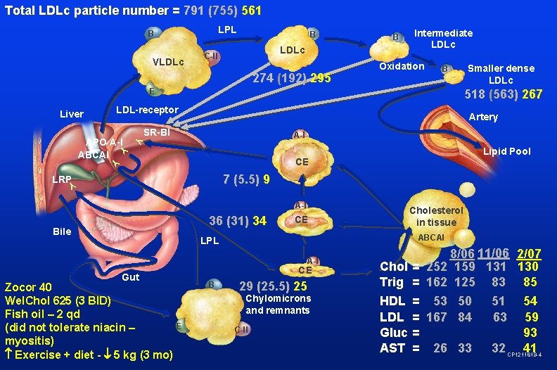 Total LDLc particle number = 791 (755) 561 LPL B VLDLc B LDLc C-II