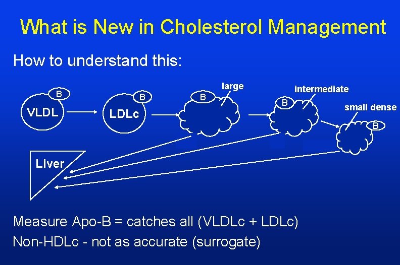 What is New in Cholesterol Management How to understand this: B VLDL large B