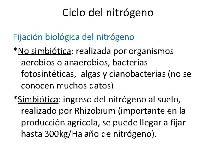 Ciclo del nitrógeno Fijación biológica del nitrógeno *No simbiótica: realizada por organismos aerobios o