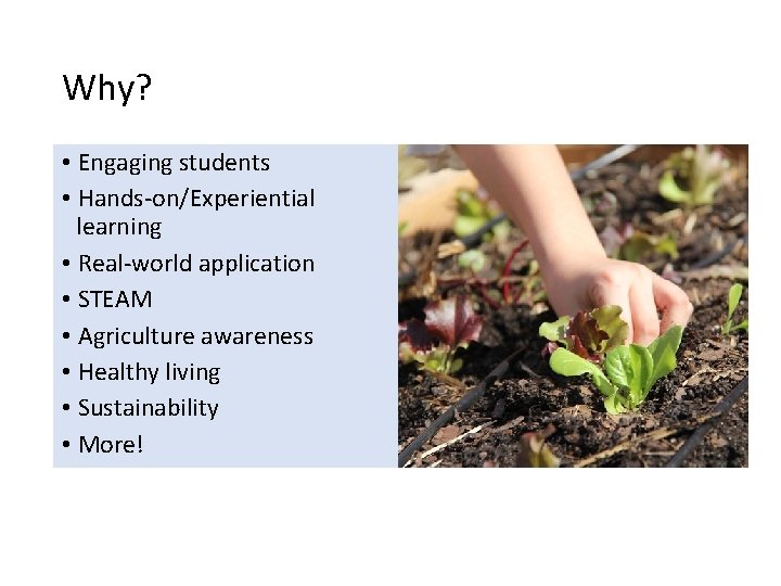 Why? • Engaging students • Hands-on/Experiential learning • Real-world application • STEAM • Agriculture