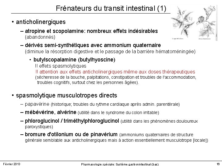 Frénateurs du transit intestinal (1) • anticholinergiques – atropine et scopolamine: nombreux effets indésirables Frénateurs du transit intestinal (1) • anticholinergiques – atropine et scopolamine: nombreux effets indésirables