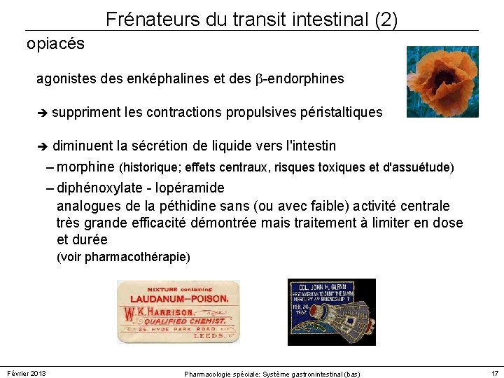 Frénateurs du transit intestinal (2) opiacés agonistes des enképhalines et des -endorphines suppriment les Frénateurs du transit intestinal (2) opiacés agonistes des enképhalines et des -endorphines suppriment les