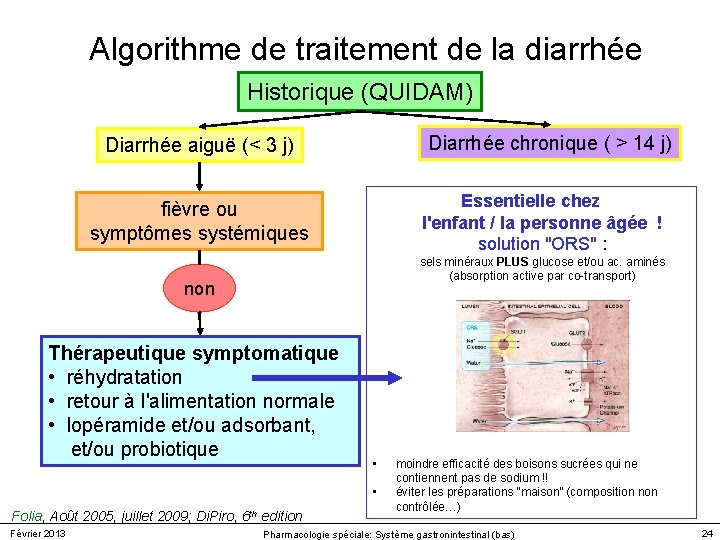 Algorithme de traitement de la diarrhée Historique (QUIDAM) Diarrhée chronique ( > 14 j) Algorithme de traitement de la diarrhée Historique (QUIDAM) Diarrhée chronique ( > 14 j)