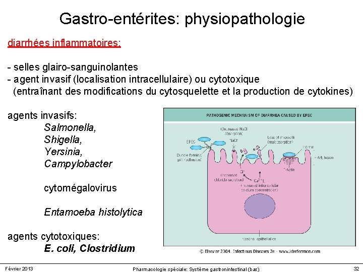 Gastro-entérites: physiopathologie diarrhées inflammatoires: - selles glairo-sanguinolantes - agent invasif (localisation intracellulaire) ou cytotoxique Gastro-entérites: physiopathologie diarrhées inflammatoires: - selles glairo-sanguinolantes - agent invasif (localisation intracellulaire) ou cytotoxique
