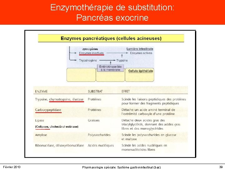 Enzymothérapie de substitution: Pancréas exocrine Février 2013 Pharmacologie spéciale: Système gastronintestinal (bas) 39 Enzymothérapie de substitution: Pancréas exocrine Février 2013 Pharmacologie spéciale: Système gastronintestinal (bas) 39
