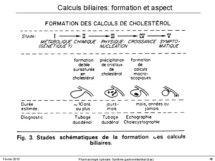 Calculs biliaires: formation et aspect Février 2013 Pharmacologie spéciale: Système gastronintestinal (bas) 45 Calculs biliaires: formation et aspect Février 2013 Pharmacologie spéciale: Système gastronintestinal (bas) 45