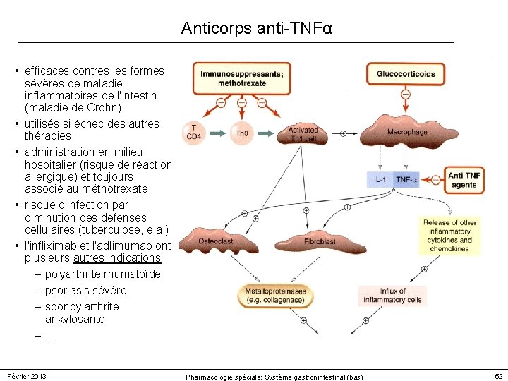 Anticorps anti-TNFα • efficaces contres les formes sévères de maladie inflammatoires de l'intestin (maladie Anticorps anti-TNFα • efficaces contres les formes sévères de maladie inflammatoires de l'intestin (maladie
