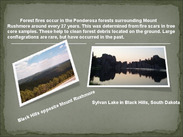 Forest fires occur in the Ponderosa forests surrounding Mount Rushmore around every 27 years.