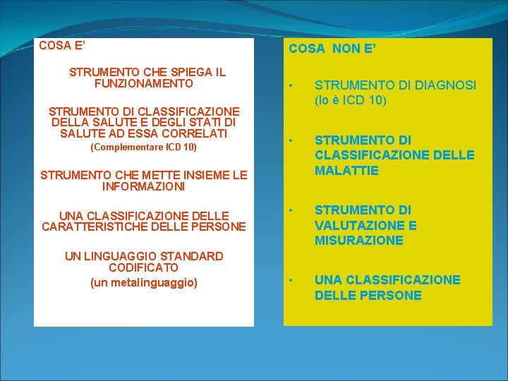COSA E’ COSA NON E’ • STRUMENTO CHE SPIEGA IL FUNZIONAMENTO STRUMENTO DI CLASSIFICAZIONE