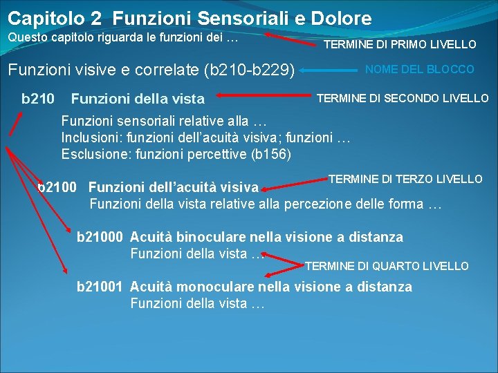 Capitolo 2 Funzioni Sensoriali e Dolore Questo capitolo riguarda le funzioni dei … TERMINE