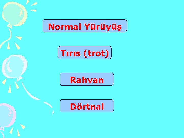 Normal Yürüyüş Tırıs (trot) Rahvan Dörtnal 