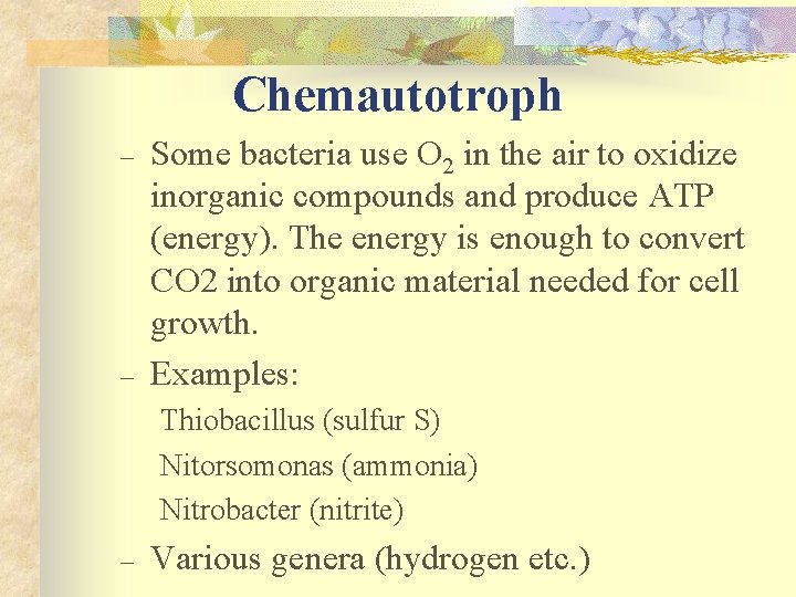Chemautotroph – – Some bacteria use O 2 in the air to oxidize inorganic