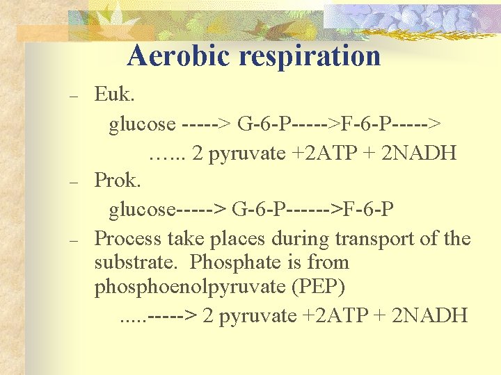 Aerobic respiration – – – Euk. glucose -----> G-6 -P----->F-6 -P-----> …. . .