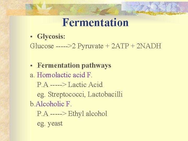 Fermentation Glycosis: Glucose ----->2 Pyruvate + 2 ATP + 2 NADH § Fermentation pathways