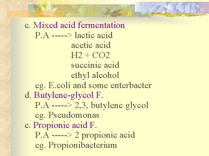 c. Mixed acid fermentation P. A -----> lactic acid acetic acid H 2 +