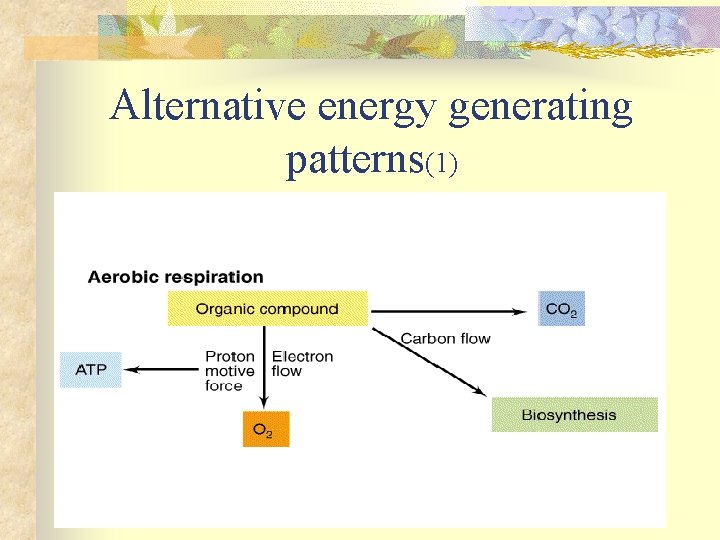 Alternative energy generating patterns(1) 