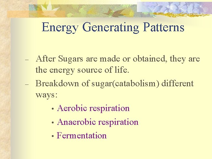 Energy Generating Patterns – – After Sugars are made or obtained, they are the