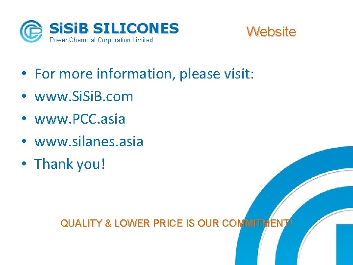 Si. B SILICONES Power Chemical Corporation Limited • • • Website For more information,