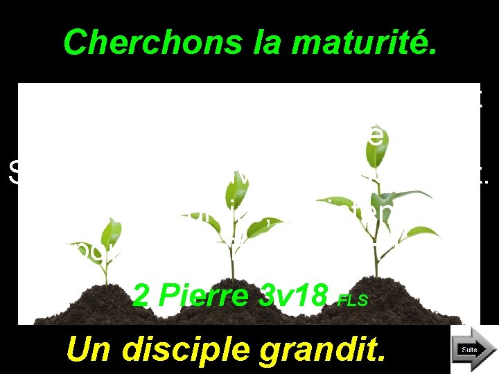 Cherchons la maturité. « Mais croissez dans la grâce et dans la connaissance de