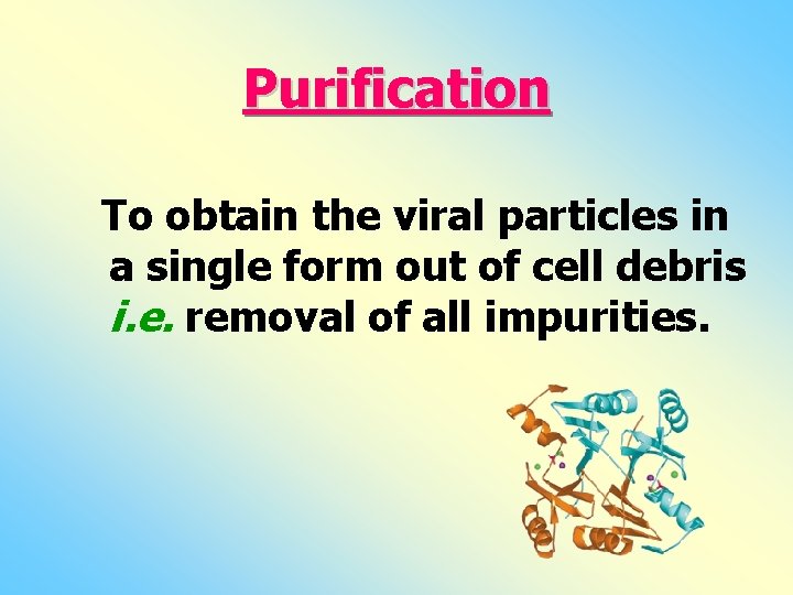 Purification To obtain the viral particles in a single form out of cell debris Purification To obtain the viral particles in a single form out of cell debris