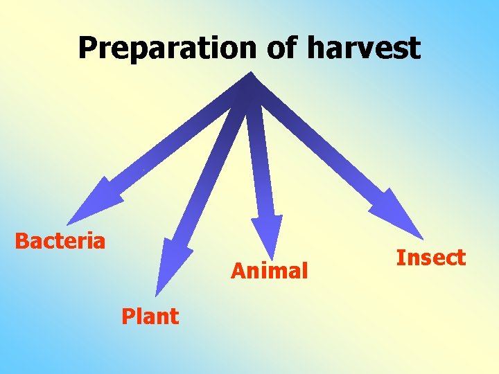 Preparation of harvest Bacteria Animal Plant Insect 