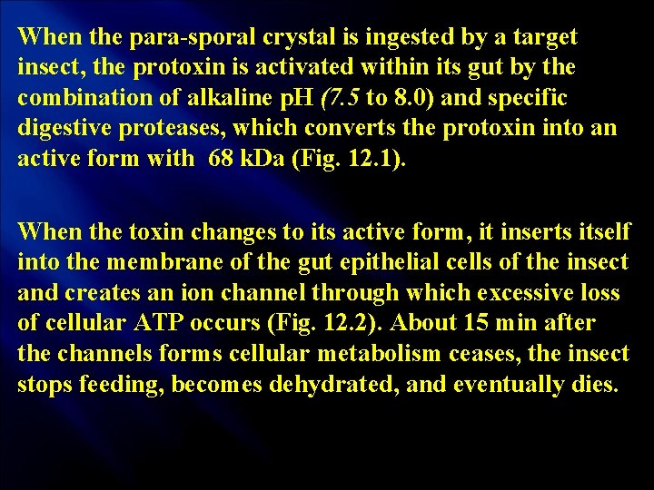 When the para sporal crystal is ingested by a target insect, the protoxin is