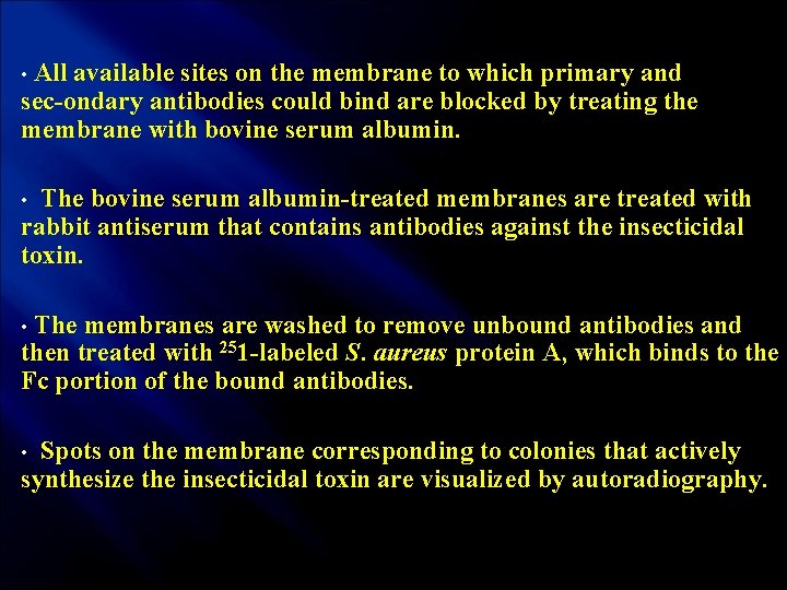  • All available sites on the membrane to which primary and sec ondary