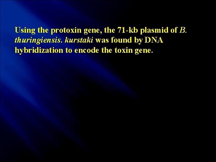 Using the protoxin gene, the 71 kb plasmid of B. thuringiensis. kurstaki was found