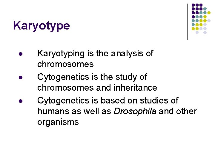 Karyotype l l l Karyotyping is the analysis of chromosomes Cytogenetics is the study
