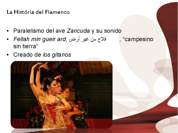 La História del Flamenco • Paralelismo del ave Zancuda y su sonido • Fellah