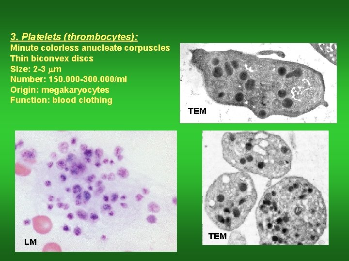 3. Platelets (thrombocytes): Minute colorless anucleate corpuscles Thin biconvex discs Size: 2 -3 mm