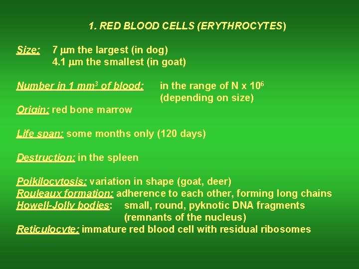 1. RED BLOOD CELLS (ERYTHROCYTES) Size: 7 mm the largest (in dog) 4. 1