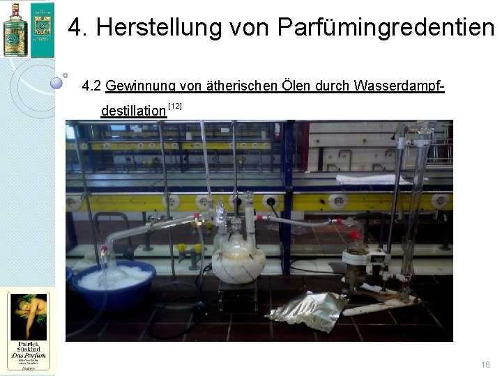 4. Herstellung von Parfümingredentien 4. 2 Gewinnung von ätherischen Ölen durch Wasserdampfdestillation [12] 16