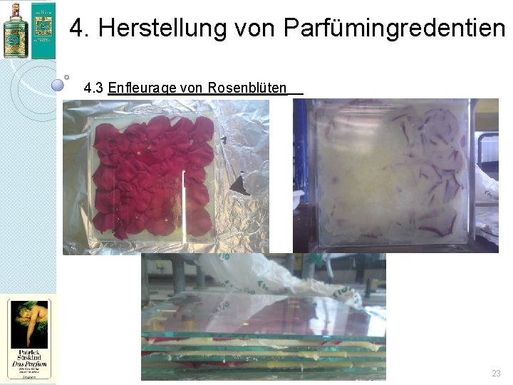 4. Herstellung von Parfümingredentien 4. 3 Enfleurage von Rosenblüten 23 