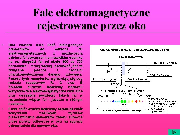 Fale elektromagnetyczne rejestrowane przez oko • • Oko zawiera dużą ilość biologicznych odbiorników do