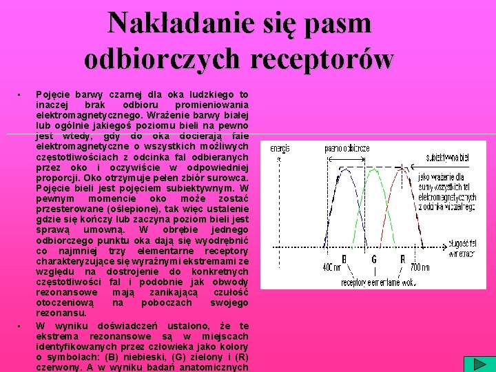 Nakładanie się pasm odbiorczych receptorów • • Pojęcie barwy czarnej dla oka ludzkiego to